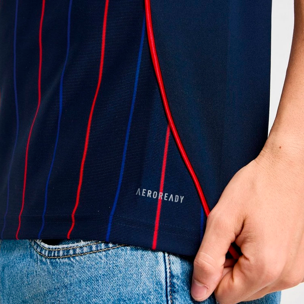 Jersey Lyon 2025/26 Away - Fan Version