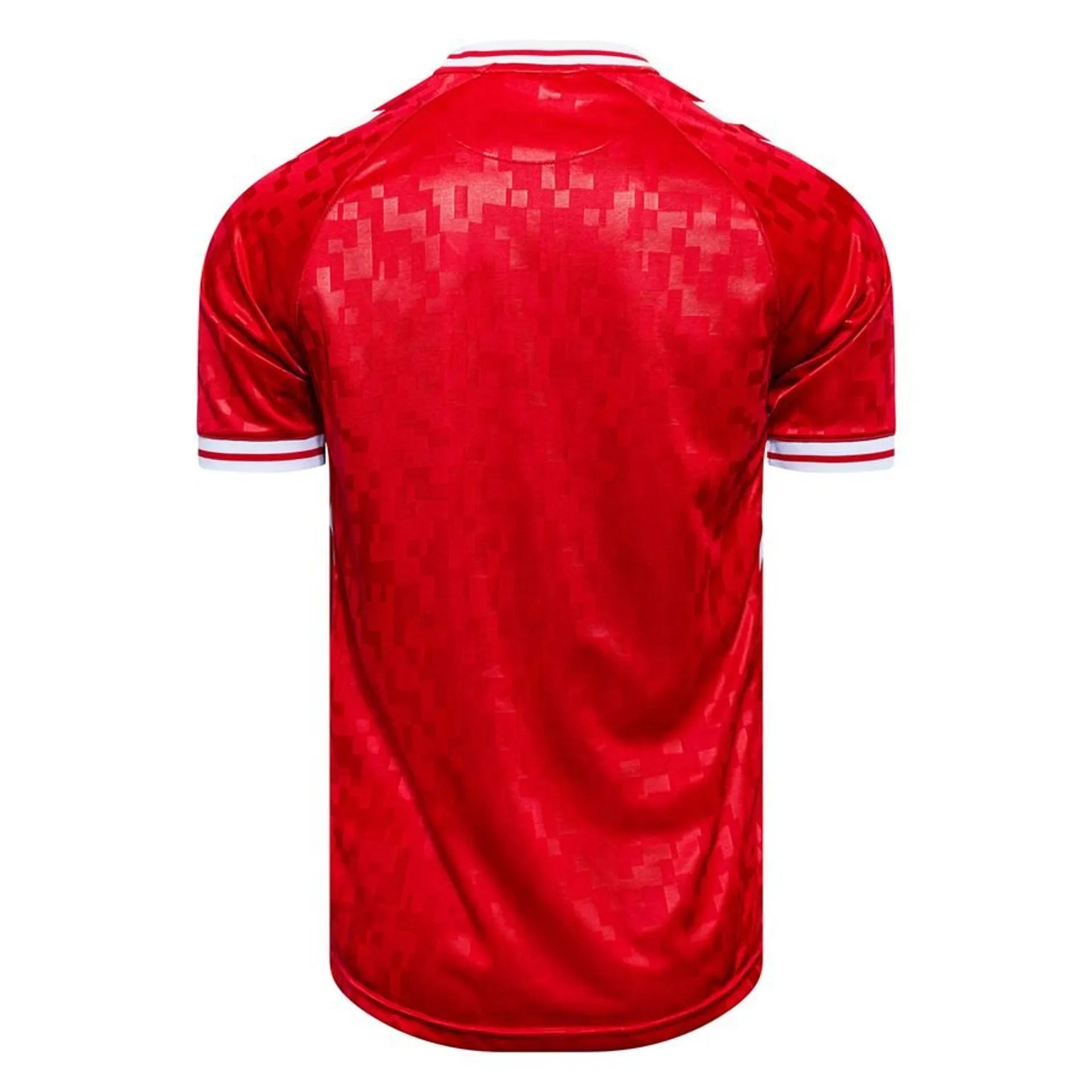 Jersey Dinamarca 2024 Home - Fan Version