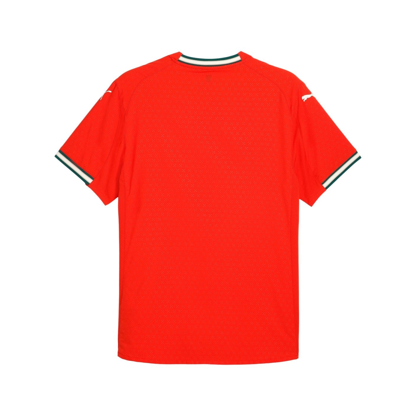 Jersey Portugal 2025/26 Home - Player Version