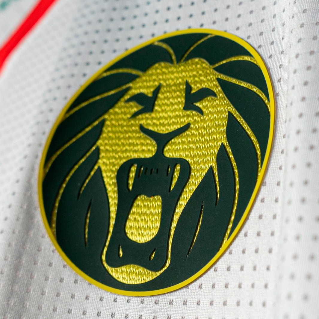 Jersey Camarões 2025 Third - Fan Version