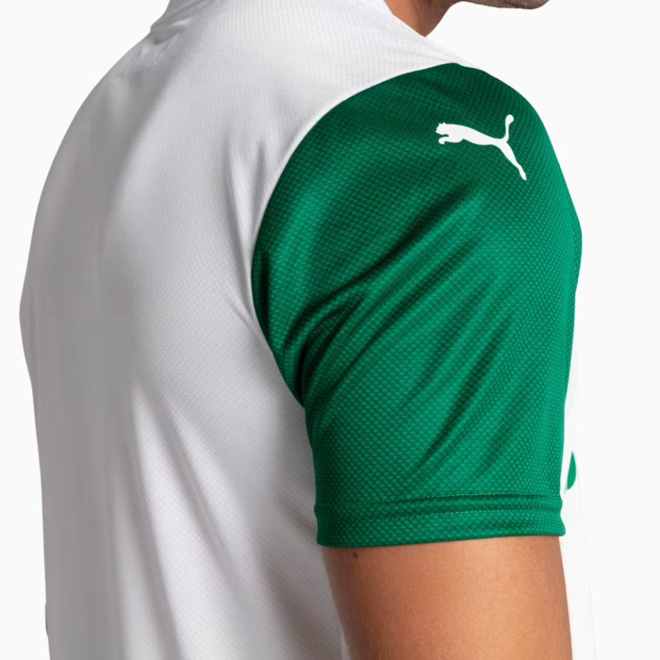 Jersey Palmeiras 2025/26 Away - Player Version