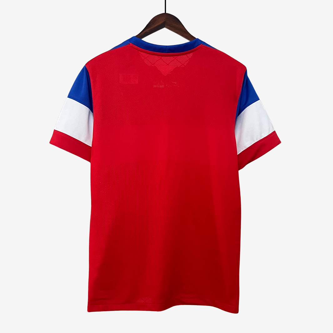 Jersey Estados Unidos (EUA) 2014 Home - Retro