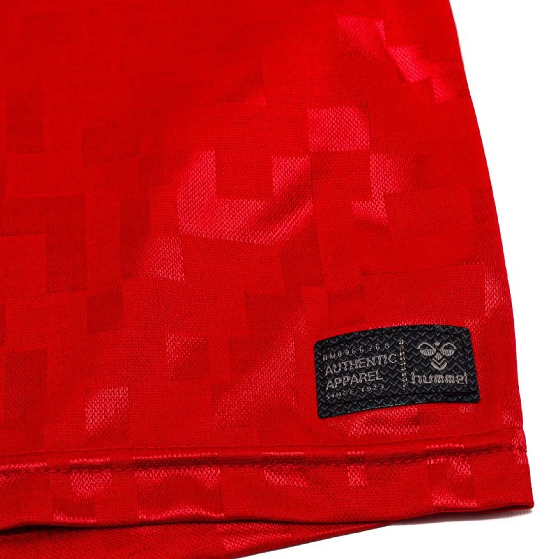 Jersey Dinamarca 2024 Home - Fan Version