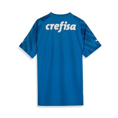 Jersey Palmeiras 2024/25 Goleiro Home - Fan Version