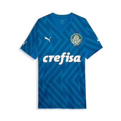 Jersey Palmeiras 2024/25 Goleiro Home - Fan Version