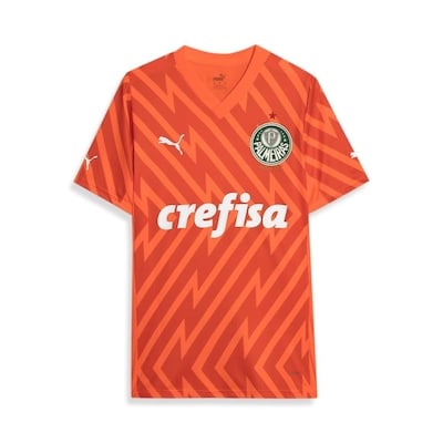 Jersey Palmeiras 2024/25 Goleiro Third - Fan Version