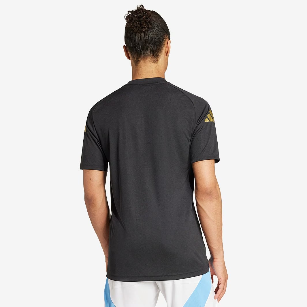 Jersey Argentina 2024/25 Training - Fan Version