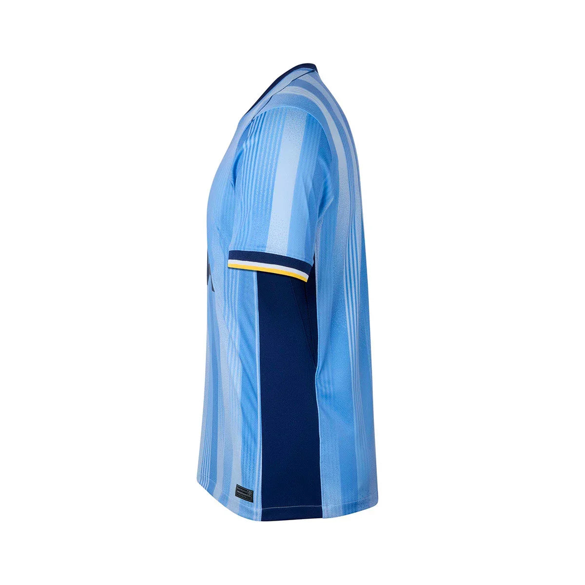 Kit Kids Tottenham 2024/25 Away