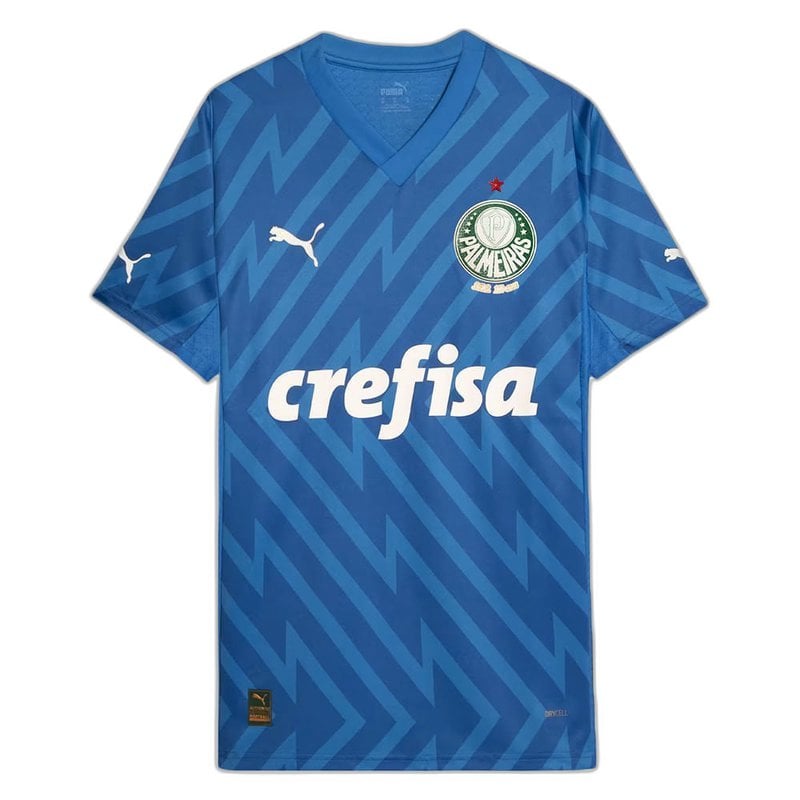 Jersey Palmeiras 2024/25 Goleiro Home - Player Version